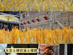 -初溪土楼群