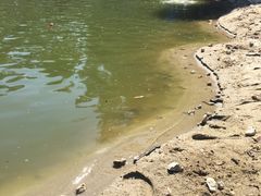 -佛山祈福仙湖酒店