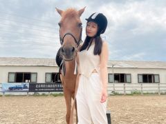 -北京群众马术培训基地