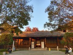 -三垟湿地