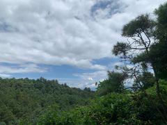 -苍山感通索道