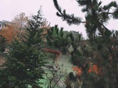 -汤泊温泉度假村