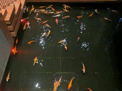 -顺丰国宴(工业博物馆店)