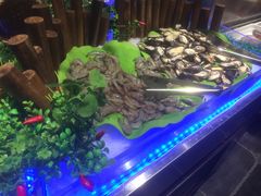 -欢乐牧场(T12店)