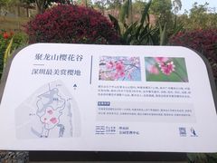 -聚龙山公园