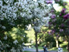 -杭州城北体育公园