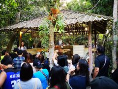 -Bamboo Saturday Market(Nana Jungle)
