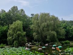 -棒棰岛宾馆景区