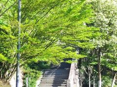 -重庆园博园