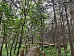 -沈阳植物园