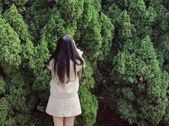 -南沙蒲洲花园