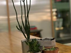 -Green Option(官舍店)
