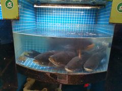 -千岛湖小鱼儿·淳安匠心农家菜