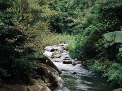 -广州市石门国家森林公园
