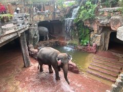 -长鹿旅游休博园