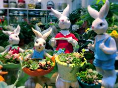 -双季花艺园艺市场(浦东店)