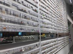 -KKV(深圳宏发大仟里店)