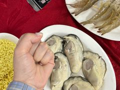 -花苑美食横琴生蚝火锅(拱北粤华路店)