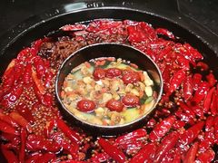 -渝大狮毛肚老火锅(普陀店)
