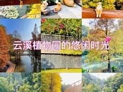 -云溪植物园