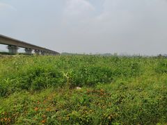 -光明小镇欢乐田园