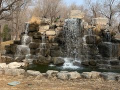 -北京野生动物园