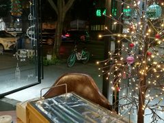 -陈员外正宗夹江烧烤(广福路店)