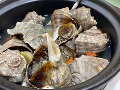 -小天妃海鲜酒楼(西马庄店)