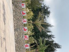 -北海金海湾红树林生态旅游区