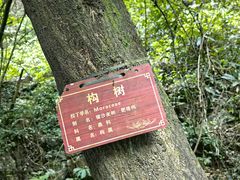 -牛角寨瀑布景区