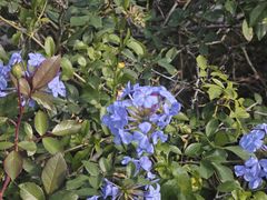-东莞植物园