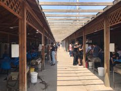 -亲兄弟真人CS团建拓展基地