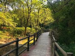 -木兰云雾山