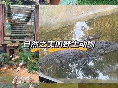 -昆明动物园