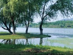 -长广溪湿地公园