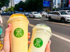 -茉酸奶(春熙路店)