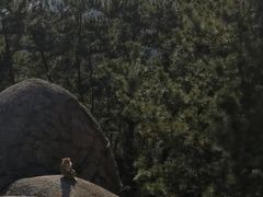 -崂山巨峰游览区