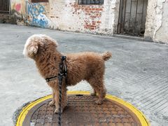 -广州市紫泥堂文化创意园景区