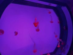 -沈阳海洋探索中心