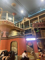 -卡通尼·Safari非洲探索乐园·生日会(金桥国际商业广场店)