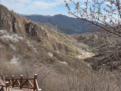 -大岭沟猕猴桃谷风景区
