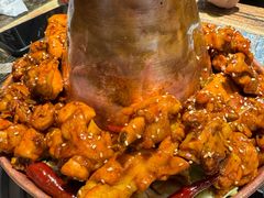 -刘记光大火锅鸡(北行店)