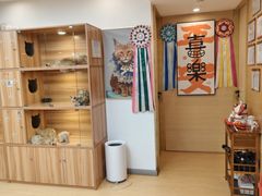 -猫十亿·布偶金渐层·曼基康矮脚猫舍(青年路店)
