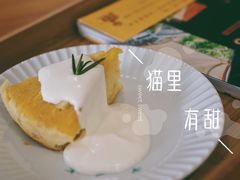 -猫里有甜
