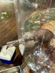 -Zoolung Zoolung动物主题公园(海信广场店)