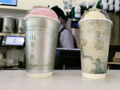 -雾与山茶(大禹城店)