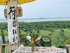 -七的湖·晚芳亭·阳澄湖农家菜·大闸蟹(莲花岛店)