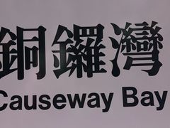 -港珠澳大桥(珠海段)