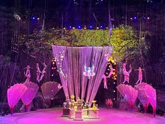 -广州长隆国际大马戏