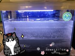 -本溪路花鸟市场(江浦路1709弄小区店)